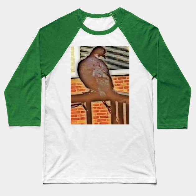 Pigeon on the Balcony Baseball T-Shirt by Alemway